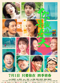 伊人久久精品视频